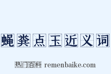 蝇粪点玉近义词是什么意思的图片